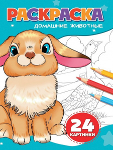 РАСКРАСКА "ДОМАШНИЕ ЖИВОТНЫЕ" 