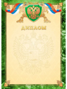 ДИПЛОМ А4 200Г/М2 2231 ПРЕМИУМ С ГОССИМВОЛИКОЙ