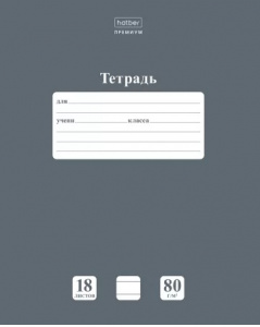 ТЕТРАДЬ 18Л ЛИНИЯ "НЬЮТОН ПАСТЕЛЬ. СЕРЫЙ АГАТ"