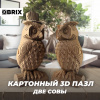 КОНСТРУКТОР КАРТОННЫЙ 3D ДВЕ СОВЫ