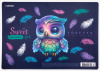 ПОКРЫТИЕ НА СТОЛ А4+ "HAPPY OWL" ПЛАСТИК 33*23СМ 