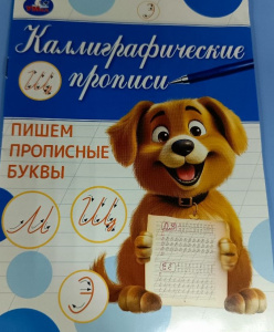 ПРОПИСЬ "ПИШЕМ ПРОПИСНЫЕ БУКВЫ КАЛЛИГРАФИЧЕСКАЯ ПРОПИСЬ"