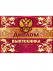 ДИПЛОМ ШКОЛА А5 ВЫПУСКНИКА 3200284