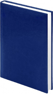 ЕЖЕДНЕВНИК A5 2027 ОФИС СИНИЙ