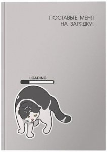 ЕЖЕДНЕВНИК А6 80Л 7БЦ "НА ЗАРЯДКУ"