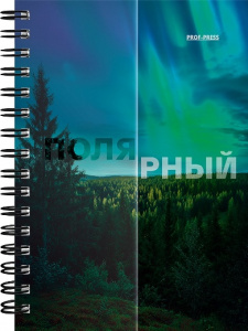 ЗАПИСНАЯ КНИЖКА НА ГРЕБНЕ А6 120Л "PROF-PRESS" 