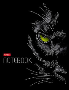 ЗАПИСНАЯ КНИГА А5 80Л "HATBER" ЗАПИСНАЯ КНИГА А5 80Л "HATBER"