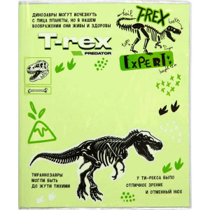 ОБЛОЖКА ДЛЯ ДНЕВНИКОВ И ТЕТРАДЕЙ 355 x 213 ПВХ 140МКМ deVENTE T-REX  3Ш/У ПРОЗРАЧНАЯ С ЦВЕТНЫМ РИСУНКОМ