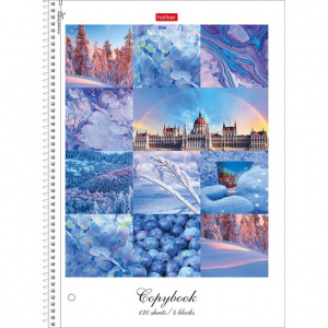 ТЕТРАДЬ 120Л КЛЕТКА А4 "КРАСКИ ДНЯ"