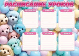 РАСПИСАНИЕ УРОКОВ "ЩЕНКИ"
