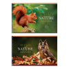 АЛЬБОМ ДЛЯ РИСОВАНИЯ НА ГРЕБНЕ 40 ЛИСТОВ "WILD NATURE" 
