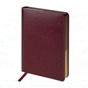 ЕЖЕДНЕВНИК А5+ 2027 BV 168Л "СИДНЕЙ НЕБРАСКА" БОРДОВЫЙ
