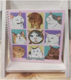 СКЕТЧБУК НА ГРЕБНЕ "КОТОМЕМЫ" 