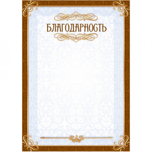 БЛАГОДАРНОСТЬ ШКОЛА А4 