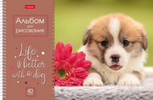АЛЬБОМ ДЛЯ РИСОВАНИЯ НА ГРЕБНЕ А4 40 ЛИСТОВ "DOGGIE-ЩЕНКИ"