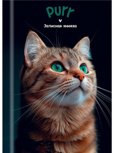 ЗАПИСНАЯ КНИГА А7 48Л "PROFIT" ЗАПИСНАЯ КНИГА А7 48Л "PROFIT"