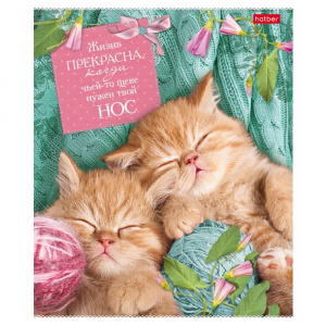 ТЕТРАДЬ 40Л КЛЕТКА "БЕЗ КОТА-ЖИЗНЬ НЕ ТА"