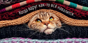 ОТКРЫТКА КОНВЕРТ КОГДА ВДРУГ КАК-ТО ВСЕ НАВАЛИТСЯ...