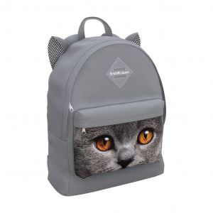 РЮКЗАК МОЛОДЕЖНЫЙ "ANIMALS GREY CATOSE" 39*29*13СМ 17L
