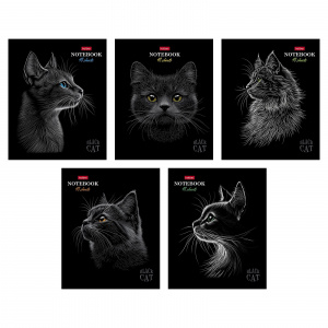ТЕТРАДЬ 48Л КЛЕТКА "BLACK CAT"