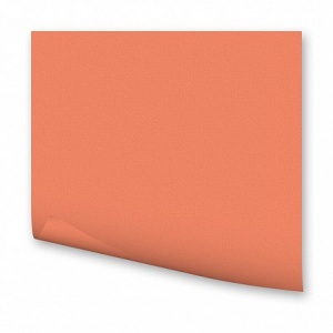 КАРТОН ЦВЕТНОЙ ПЛАКАТ 50*70 СМ 300 ГР/М2 "FOLIA" ЛОСОСЬ