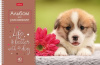 АЛЬБОМ ДЛЯ РИСОВАНИЯ НА ГРЕБНЕ А4 40 ЛИСТОВ "DOGGIE-ЩЕНКИ"