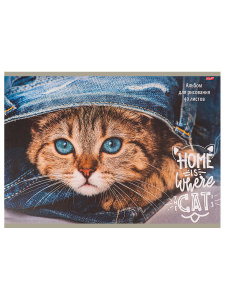 АЛЬБОМ ДЛЯ РИСОВАНИЯ НА СКОБЕ А4 40Л "КОТИК И ДЖИНСЫ"