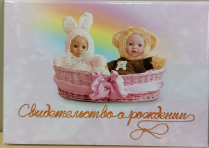 ПАПКА АДРЕСНАЯ "СВИДЕТЕЛЬСТВО О РОЖДЕНИИ. БЕЙБИ"