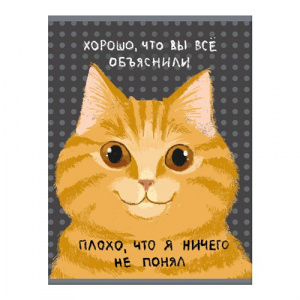 ТЕТРАДЬ 60Л КЛЕТКА А4 LISTOFF "НЕ ПОНЯЛ"