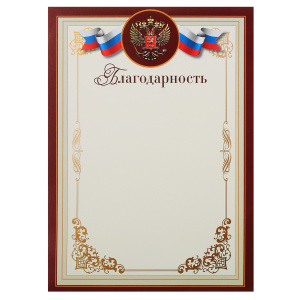 БЛАГОДАРНОСТЬ А4 РОССИЙСКАЯ СИМВОЛИКА