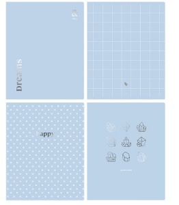 ТЕТРАДЬ 80Л КЛЕТКА "BLUE&SILVER"  