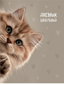 ДНЕВНИК УНИВЕРСАЛЬНЫЙ "PROF-PRESS" ДНЕВНИК УНИВЕРСАЛЬНЫЙ "PROF-PRESS"