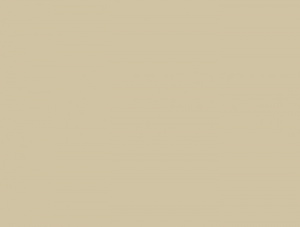 КАРТОН ЦВЕТНОЙ ПЛАКАТ 50*70 СМ 300 Г/М2 "FOLIA" АБРИКОС