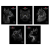 ТЕТРАДЬ 48Л КЛЕТКА "BLACK CAT"