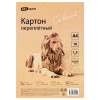 КАРТОН ПЕРЕПЛЕТНЫЙ А4 10Л