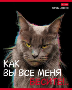 ТЕТРАДЬ 48Л КЛЕТКА "КАК ВЫ ВСЕ МЕНЯ БЕСИТЕ"