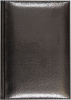 ЕЖЕДНЕВНИК A5 ATTOMEX 168Л 145X205ММ VISA ЧЁРНЫЙ