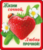 МАГНИТИК ВИНИЛОВЫЙ "ЖИЗНИ СОЧНОЙ..."