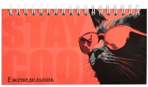 ЕЖЕНЕДЕЛЬНИК ГОРИЗОНТАЛЬНЫЙ "КОТ В ОЧКАХ"
