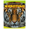 КНИГА ЭНЦИКЛОПЕДИЯ "ЖИВОТНЫЕ. РЕДКИЕ ХИЩНИКИ"   
