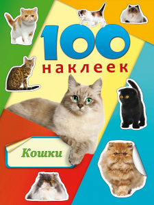 АЛЬБОМ С НАКЛЕЙКАМИ А5 "100 НАКЛЕЕК"