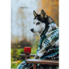 ЗАПИСНАЯ КНИГА NOTEBOOK А5 60 Л 100Г/М2 "ОСЕННИЙ ДРУГ" ОФСЕТНАЯ БУМАГА