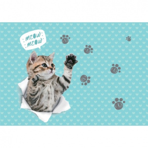 ПОКРЫТИЕ НА СТОЛ А3+ "CUTE KITTY" ПВХ 50*35СМ