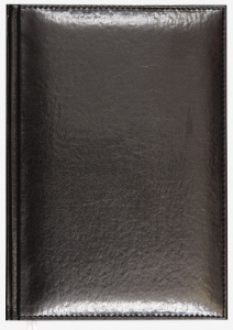 ЕЖЕДНЕВНИК A5 2025 168Л "VISA" ЧЕРНЫЙ