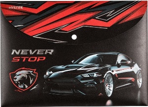 ПАПКА НА КНОПКЕ А4 300МКМ "NEVER STOP"