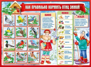 ПЛАКАТ ОБУЧАЮЩИЙ А2 " КАК ПРАВИЛЬНО КОРМИТЬ ПТИЦ ЗИМОЙ" 