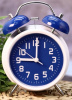 ЧАСЫ БУДИЛЬНИК "SUNRISE GUARDIAN" BLUE