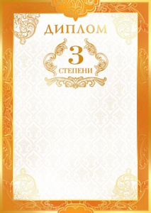 ДИПЛОМ А4 3 СТЕПЕНИ