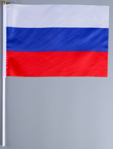 ФЛАГ 20*30СМ РОССИИ