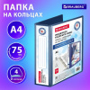 ПАПКА НА КОЛЬЦАХ А4 "BRAUBERG ОФИС" ПАНОРАМА